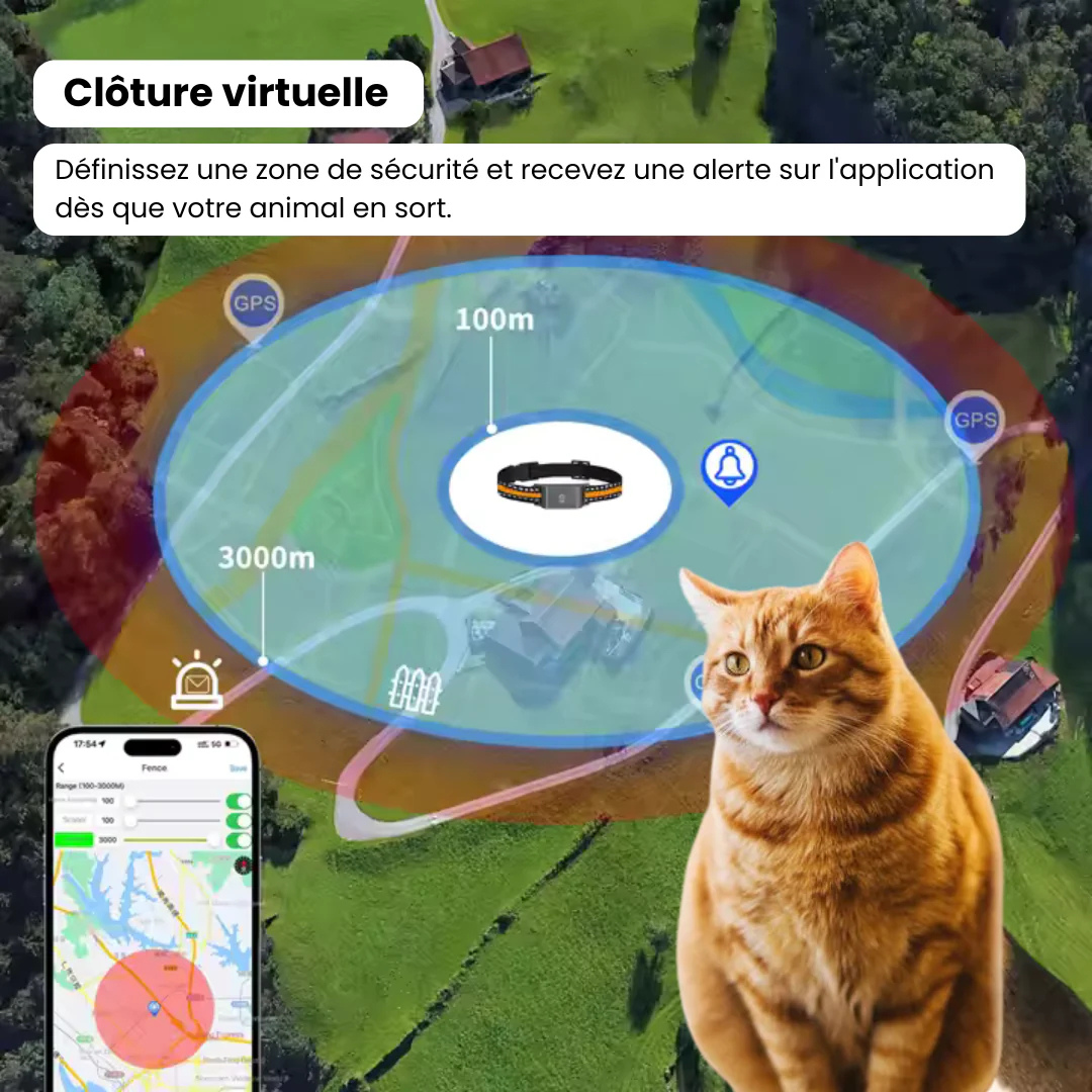 Haustier GPS Tracker am Halsband eines aktiven Hundes. Echtzeit-Ortung für mehr Sicherheit & Anti-Verlauf.