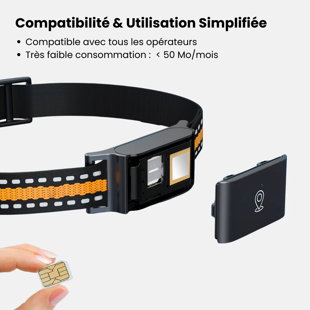 Leichter GPS Tracker für Katzen & Hunde, einfach am Halsband zu befestigen. Echtzeit-Ortung & wasserdicht.