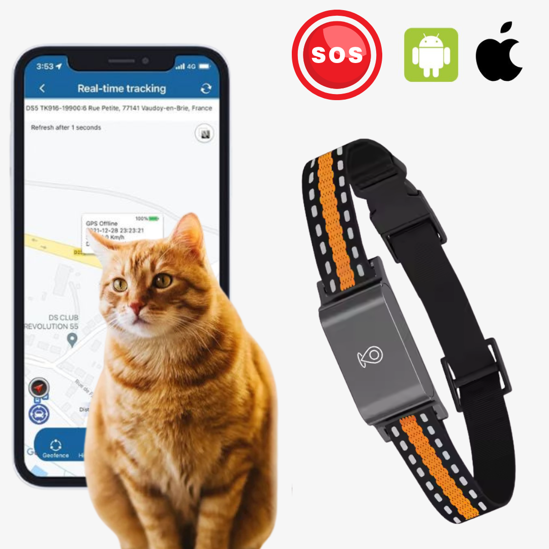 Nie wieder Sorgen: GPS Tracker für Hunde & Katzen. Echtzeit-Ortung, App-Steuerung & Haustiersicherheit.