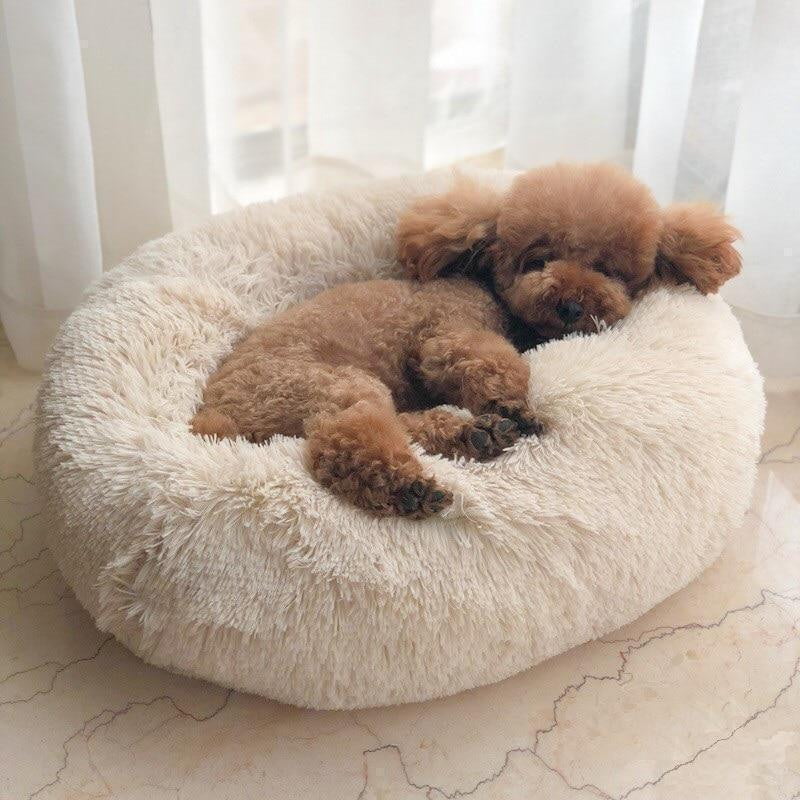 Stylisches Hundebett Wolke in modernem Design, fügt sich perfekt ein & bietet Luxus-Komfort.
