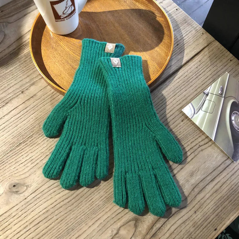 Paar warme Damen Winterhandschuhe, gestrickt. Bieten Komfort, Stil und Schutz vor der Kälte.