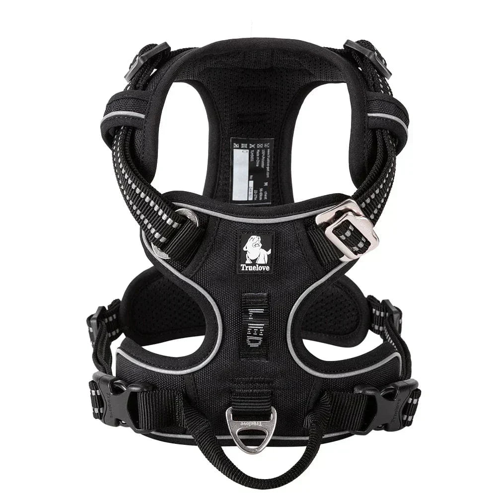 Glücklicher Hund trägt komfortables, atmungsaktives Geschirr Vendo bei einem Spaziergang im Grünen.