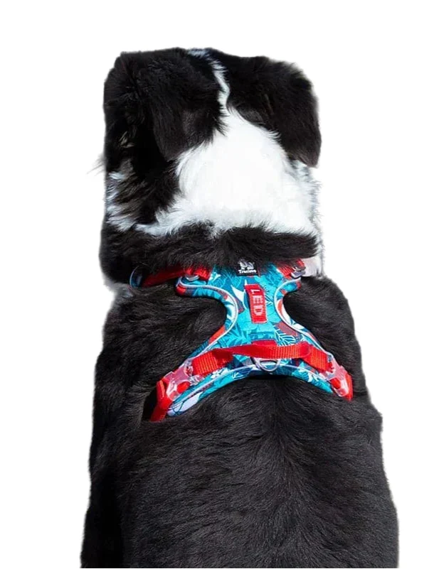 Sicheres & verstellbares Hundegeschirr Vendo, sorgt für optimalen Halt bei Haustier-Spaziergängen.