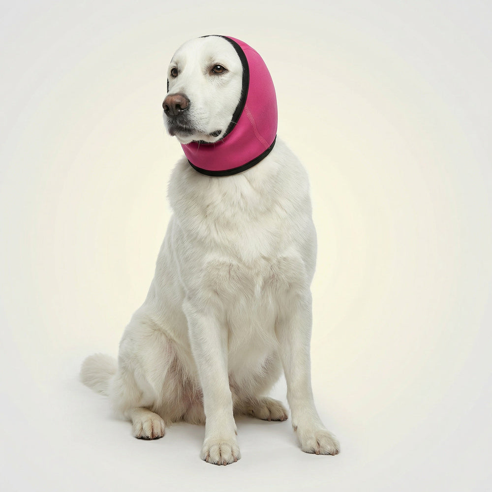 Rosa Hunde Ohrenschutz, verstellbar. Lärmschutz & Geräuschreduktion für entspannte Hunde. Weiches Haustierbedarf.