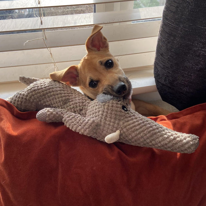 Interaktives Hundespielzeug Elefant aus strapazierfähigem Kautschuk für Spiel & Zahnhygiene.