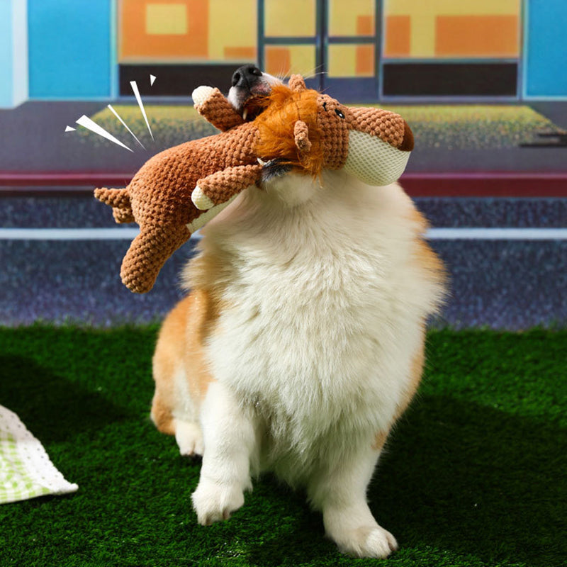 Zahnpflegendes Hundespielzeug aus robustem Kautschuk, ideal für starke Kauer.