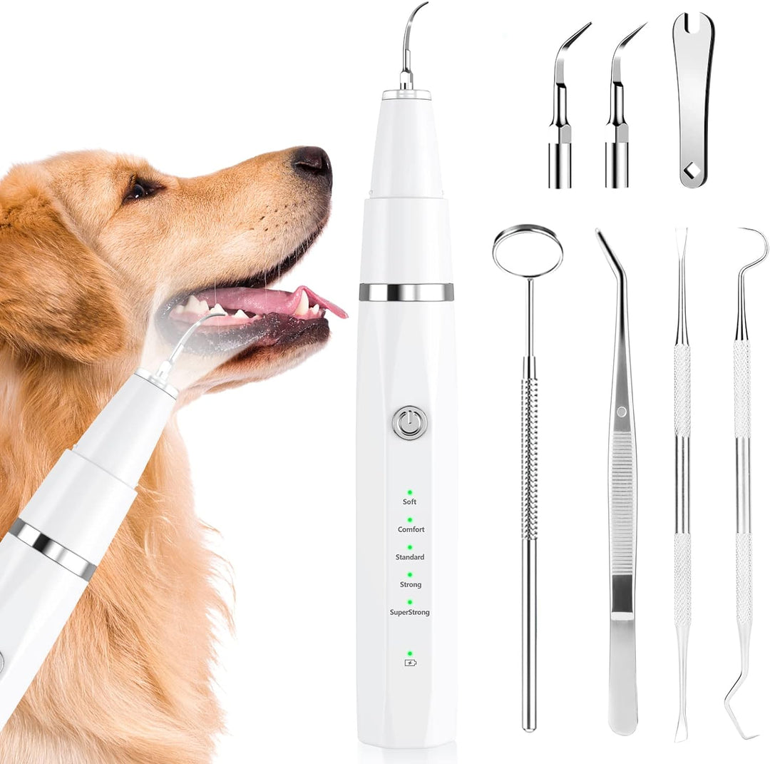 Haustier-Zahnsteinentferner: Ultraschallreinigung für gesunde Zähne bei Hunden & Katzen, verbessert Mundhygiene.