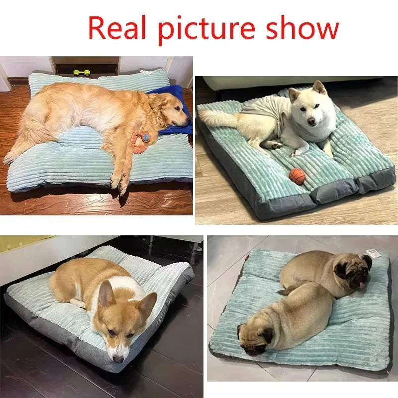 Orthopädisches Hundebett in Grün, fördert Erholung und Wohlbefinden durch optimalen Komfort.