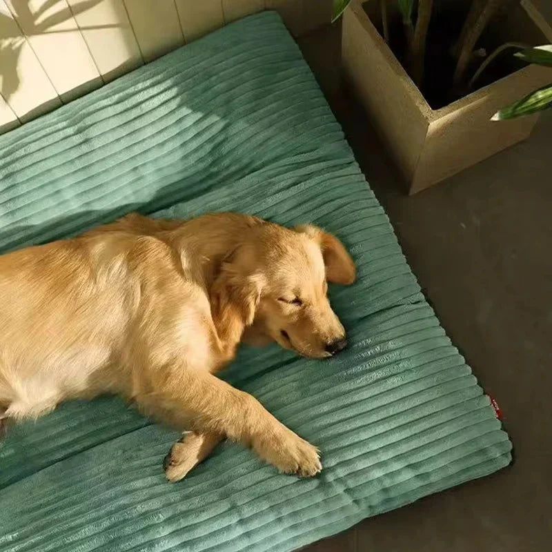 Waschbares orthopädisches Hundebett für Haustiere, langlebig und komfortabel in Grün.