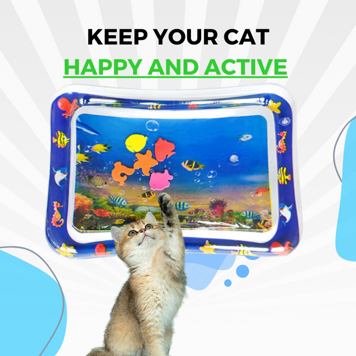 Glückliche Katze spielt vergnügt auf der runden Wasserspielmatte, die interaktiven Spaß und Abkühlung im Sommer bietet.