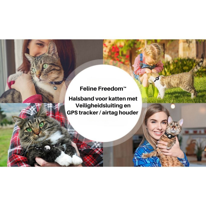 Nahaufnahme des Katzenhalsbands: GPS-Halterung, Sicherheitsverschluss und reflektierendes Material.