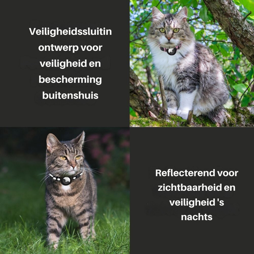 Katze trägt sicheres Katzenhalsband mit GPS-Halterung und reflektierenden Details.