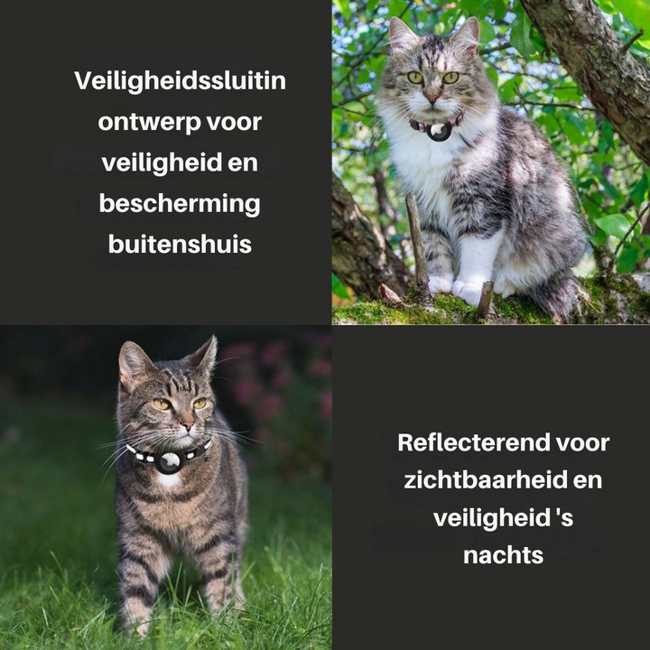 Katze trägt sicheres Katzenhalsband mit GPS-Halterung und reflektierenden Details.