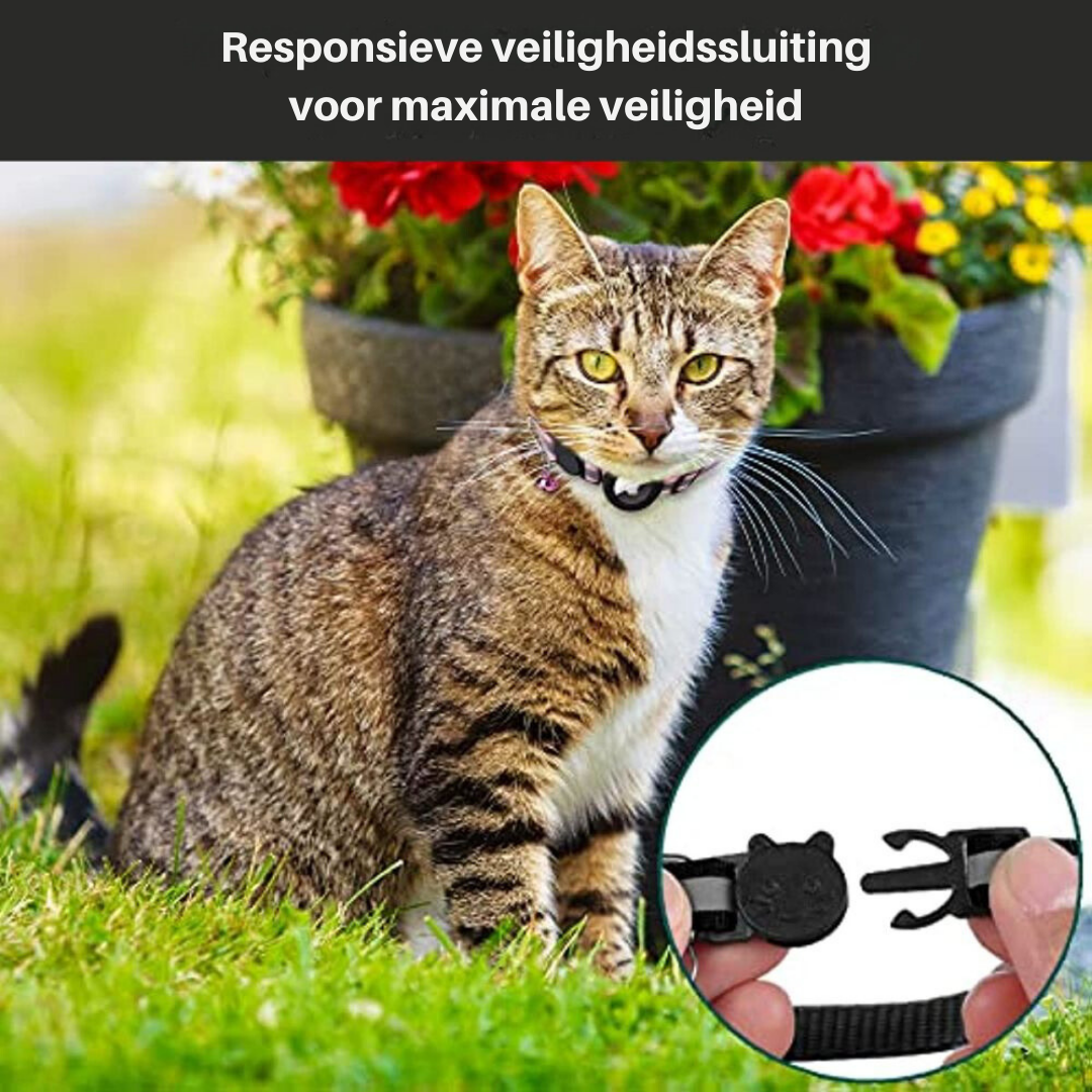 Strapazierfähiges Nylonhalsband für Katzen mit integrierter GPS-Halterung und Sicherheitsverschluss.