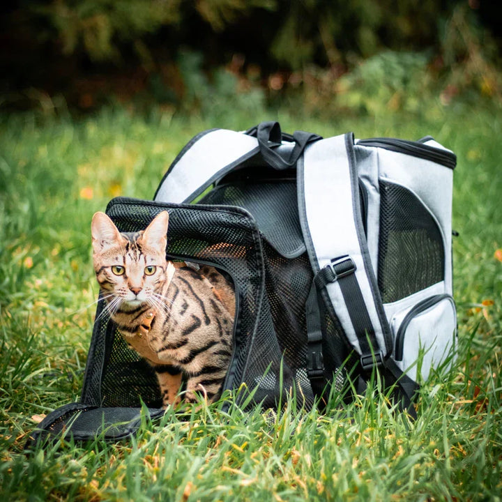 Ergonomischer Katzenrucksack mit gepolsterten Trägern; ideal für lange Spaziergänge & Reisen.