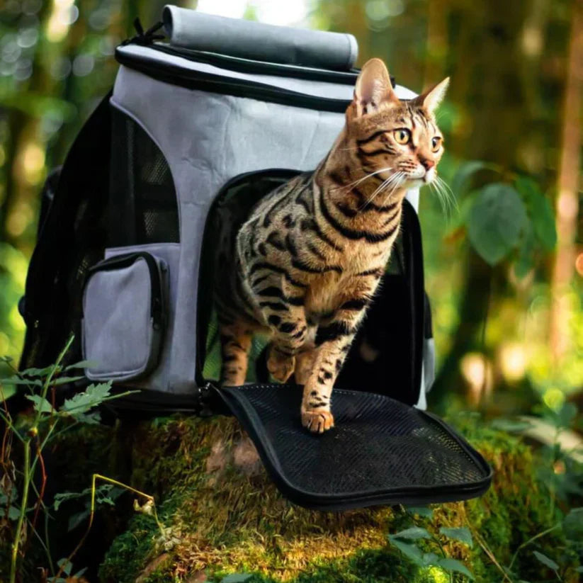 Bequemer Katzenrucksack für sicheren Haustiertransport; idealer Reisebegleiter für Ihre Katze.