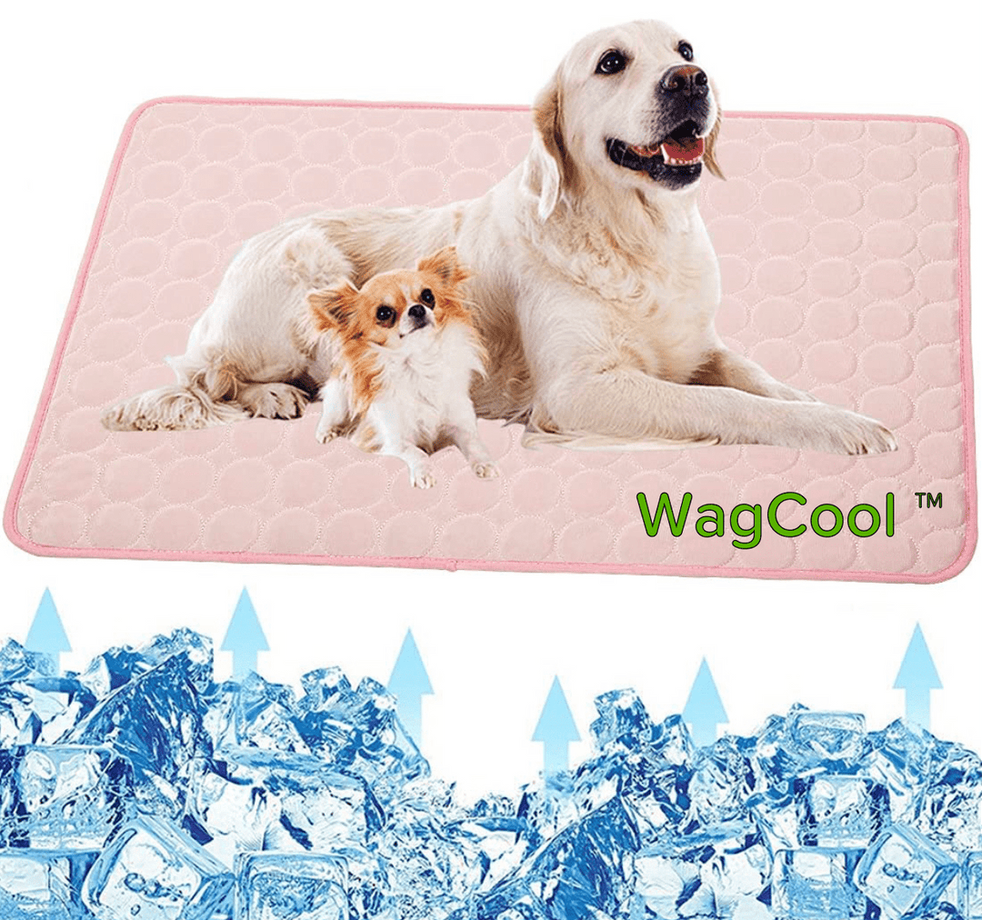 Effektive Kühlmatte für Hunde, die Haustieren eine wohltuende Abkühlung im Sommer bietet.