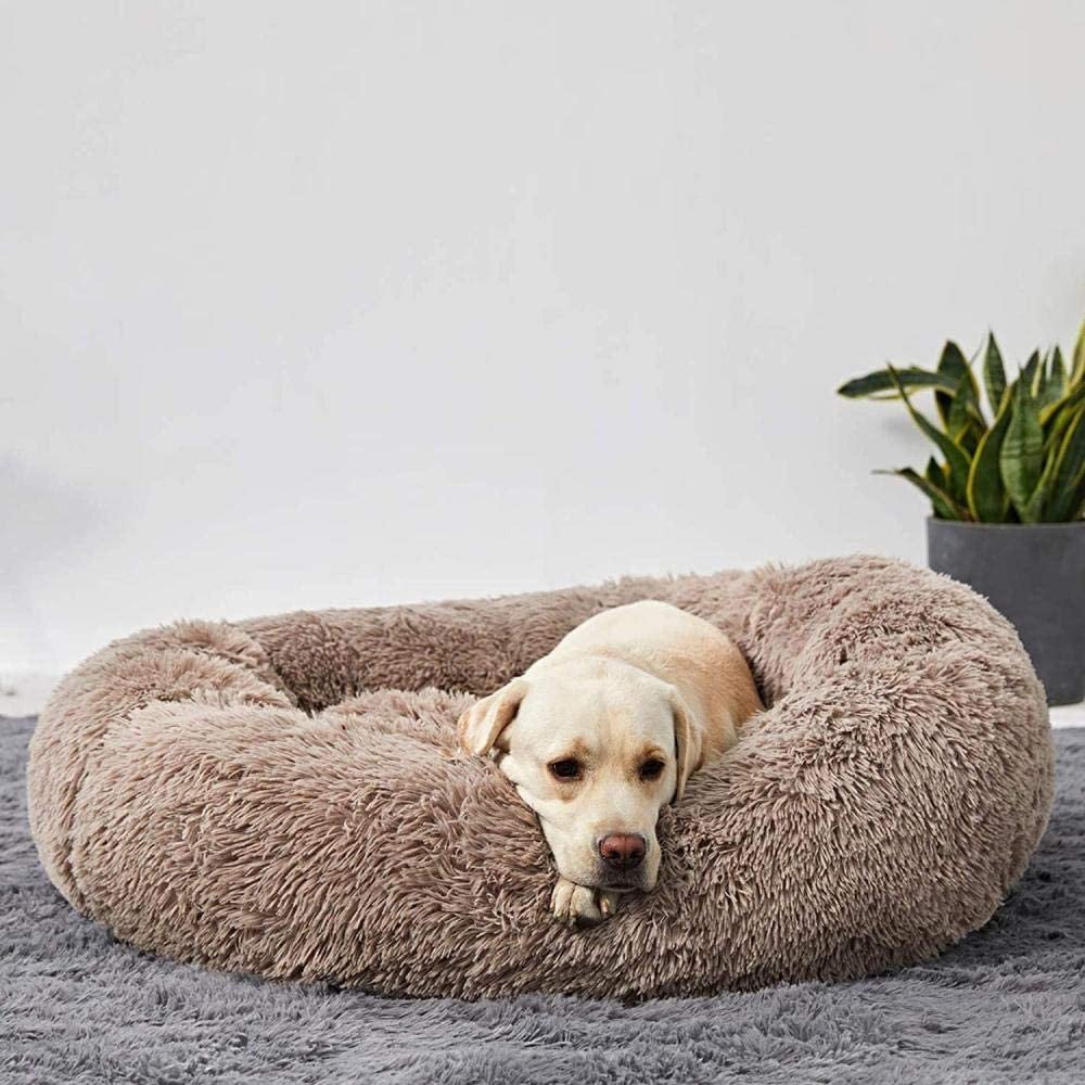 Komfortables Hundebett Wolke, flauschiges Hundekissen für Geborgenheit & erholsame Ruhe.