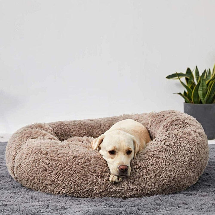 Komfortables Hundebett Wolke, flauschiges Hundekissen für Geborgenheit & erholsame Ruhe.