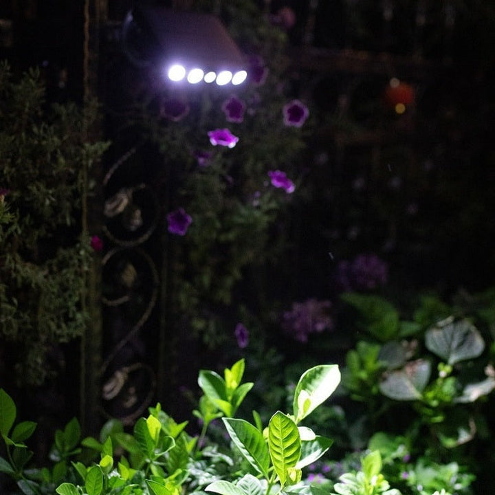 Energieeffiziente Solarleuchte Lumina mit Bewegungssensor, sorgt für sicheres LED-Licht im Garten.