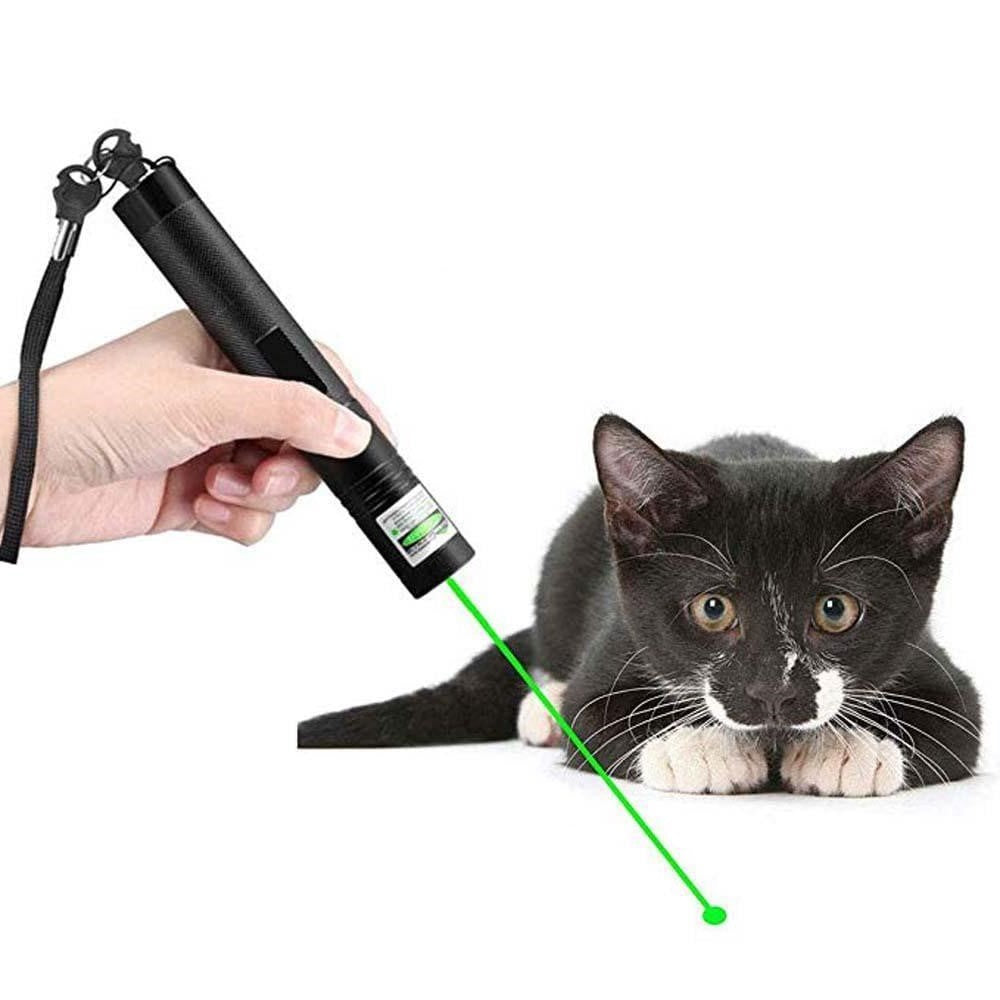 Grüner Laserpointer für klare Sichtbarkeit bei Präsentationen, Schulungen & Vorträgen.