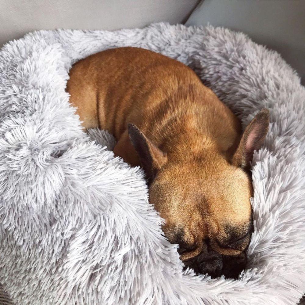 Orthopädisches Hundebett Wolke 7, grau, für Tiefschlaf & Gelenkschonung.