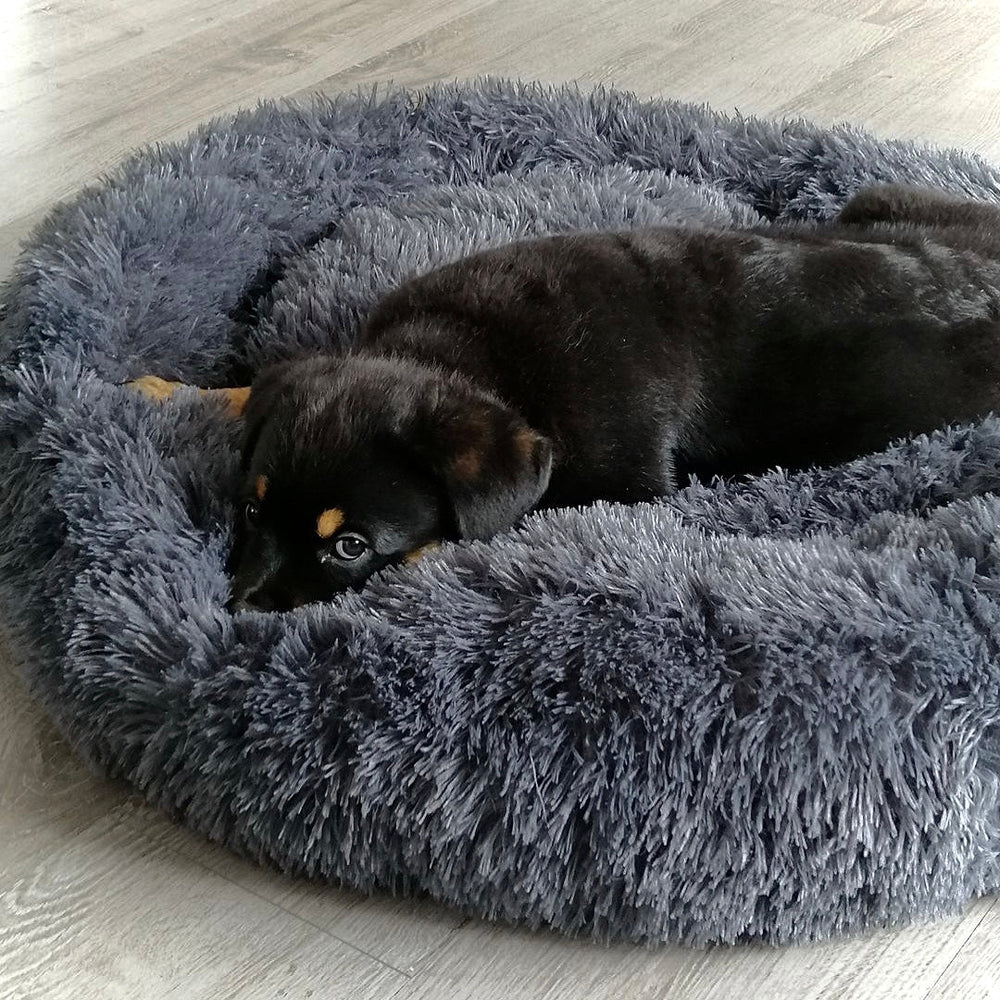 Kuscheliges Donut-Hundebett Wolke 7, beruhigend & angstlösend, in Premium-Qualität.