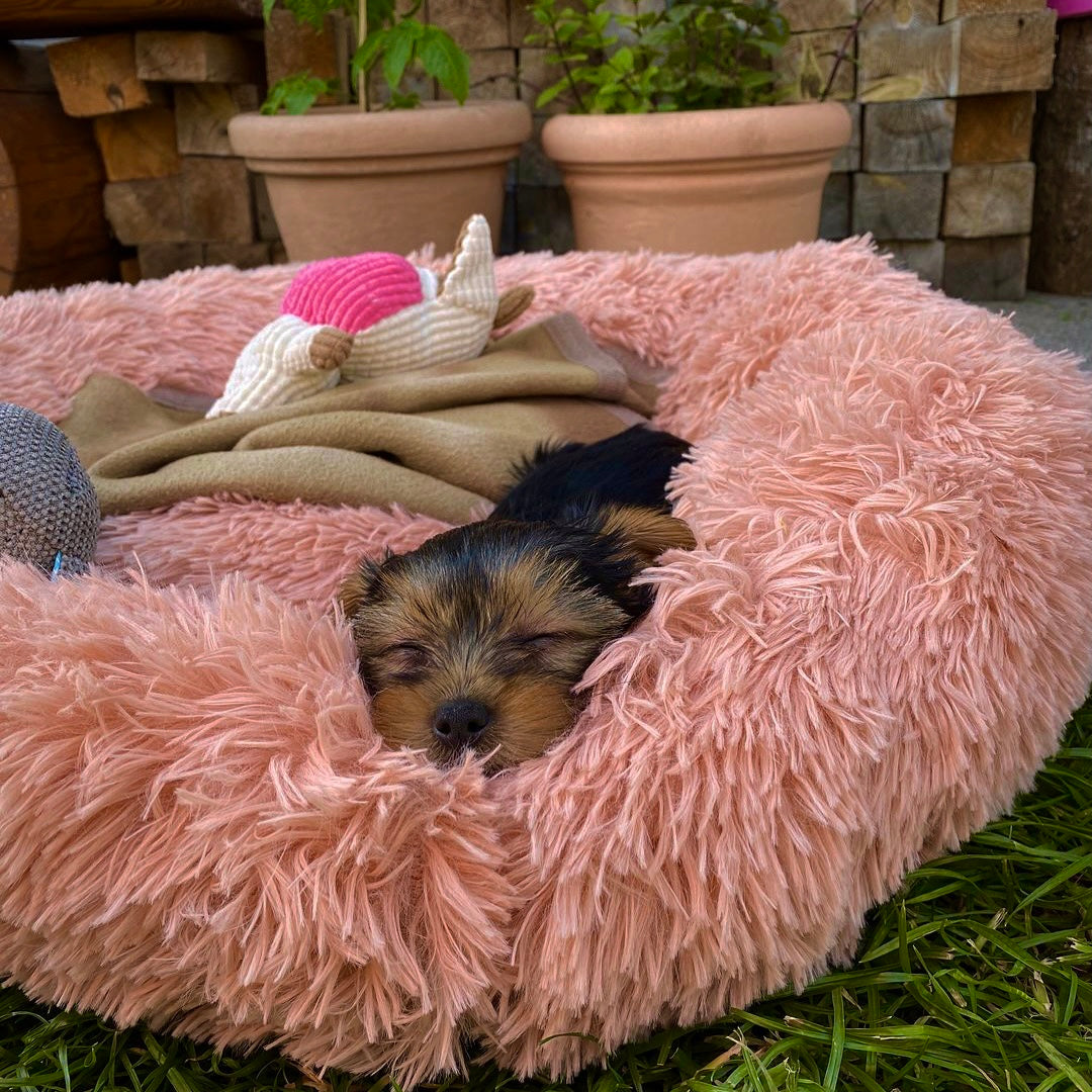 Angstlösendes Donut-Hundebett Wolke 7, beige, fördert Tiefschlaf & Geborgenheit.