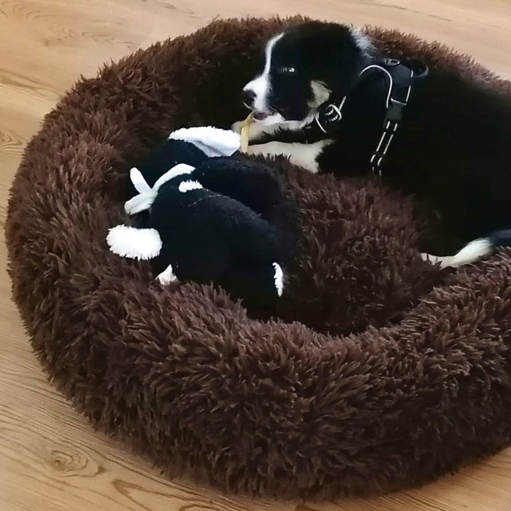 Gelenkschonendes orthopädisches Hundebett Wolke 7, waschbar, für große & kleine Hunde.