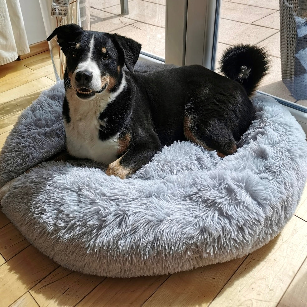 Beruhigendes Kuschelbett Wolke 7, grau, als Schlafplatz für Hunde, lindert Gelenkschmerzen.