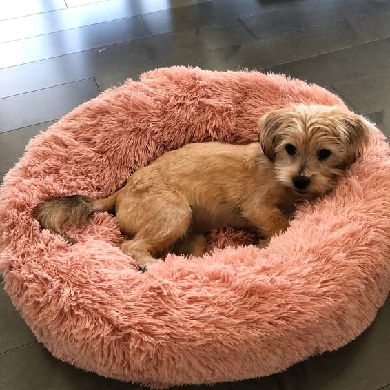Hochwertiges orthopädisches Hundebett Wolke 7 für Tiefschlaf & Entspannung, langlebig.
