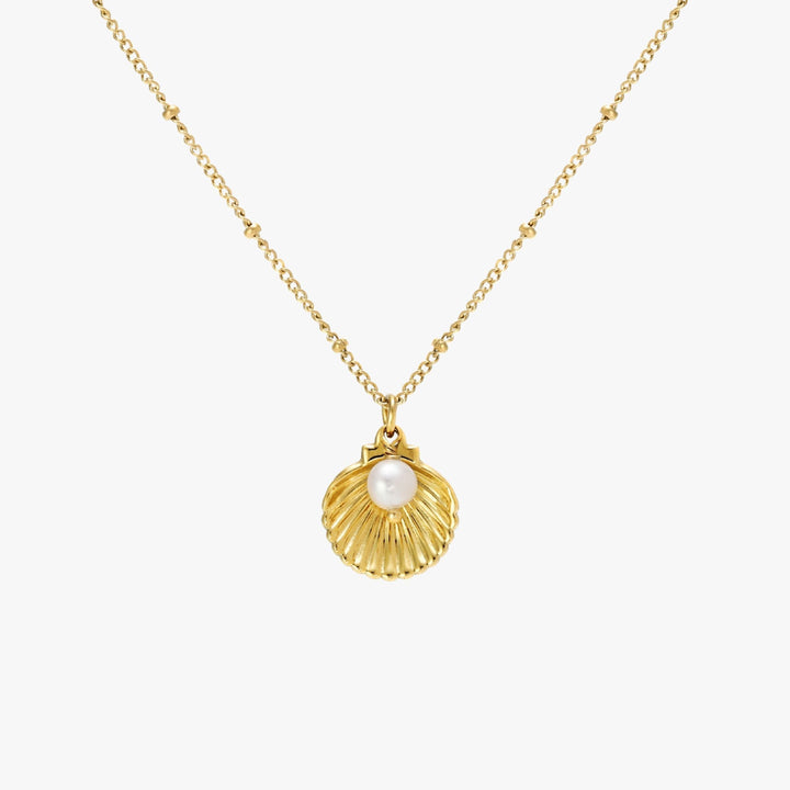 Zarte Damenhalskette Silber, Muschel-Anhänger und strahlende Süßwasserperle, idealer Sommerschmuck.