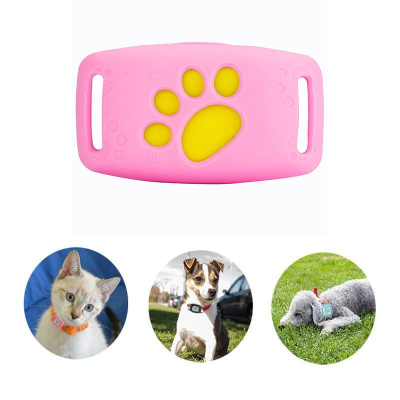 Intelligentes GPS-Halsband für Katzen und kleine Hunde mit Echtzeitortung und Geo-Fencing für mehr Sicherheit.