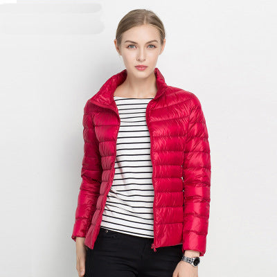 Gesteppte Damen Leichtgewicht Jacke, wind- & wasserabweisend, modern. Perfekt für Herbst & Frühling.