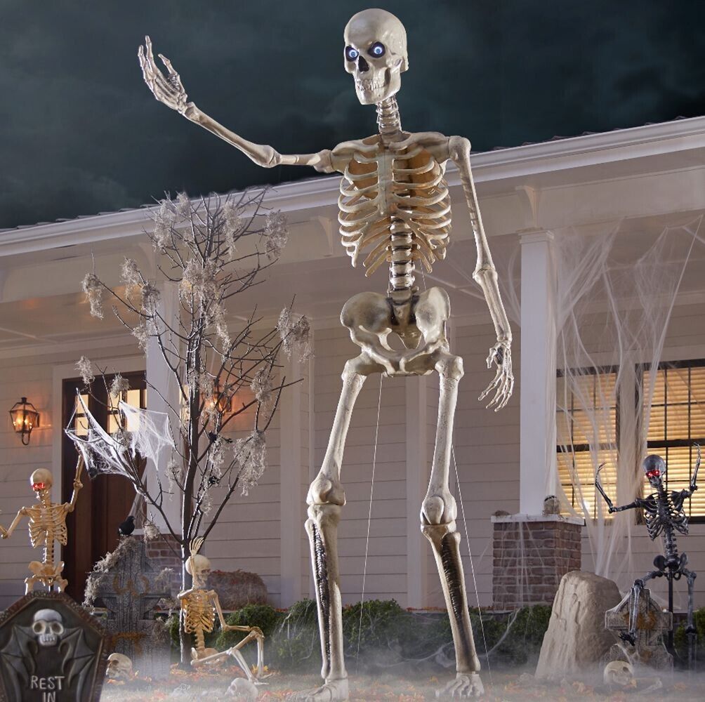 Realistisches, animiertes Skelett mit Bewegung, perfekte Halloween Deko für gruseligen Effekt.
