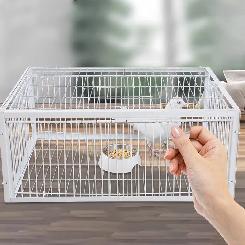 Tierschonende Lebendfalle aus Metall für Vögel mit sicherem Einweg-Mechanismus.