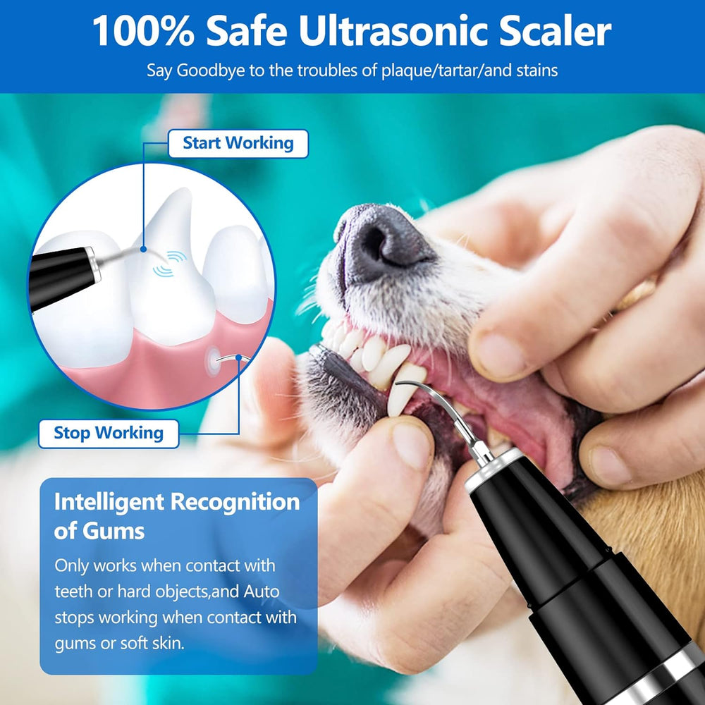 Tier-Zahnpflege: BuddyCare Ultraschall-Zahnreinigungsset für sanfte Zahnsteinentfernung bei Haustieren.