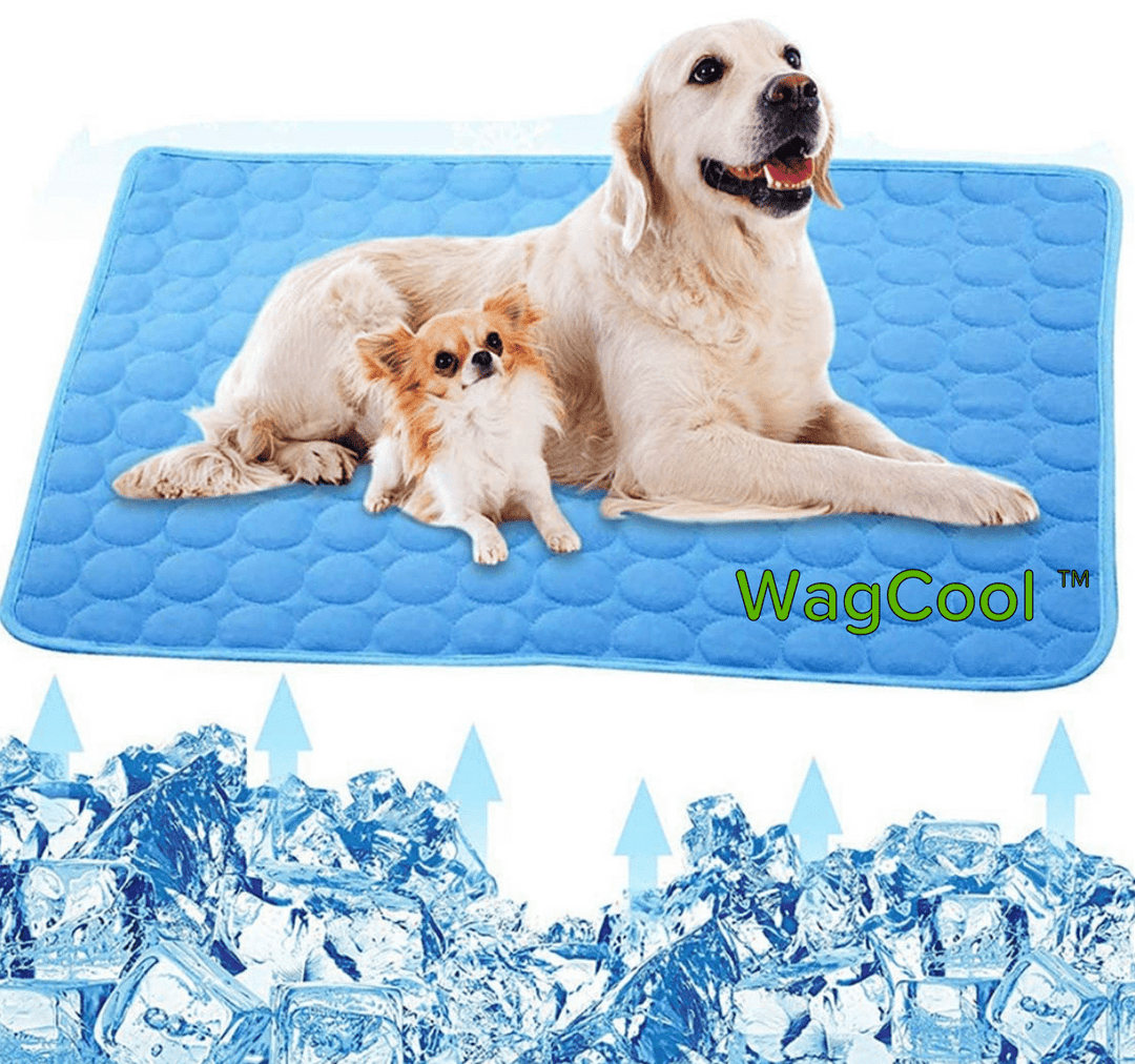 Waschbare Kühlmatte für Hunde, hygienisches Haustierzubehör für langanhaltende Sommer-Abkühlung.
