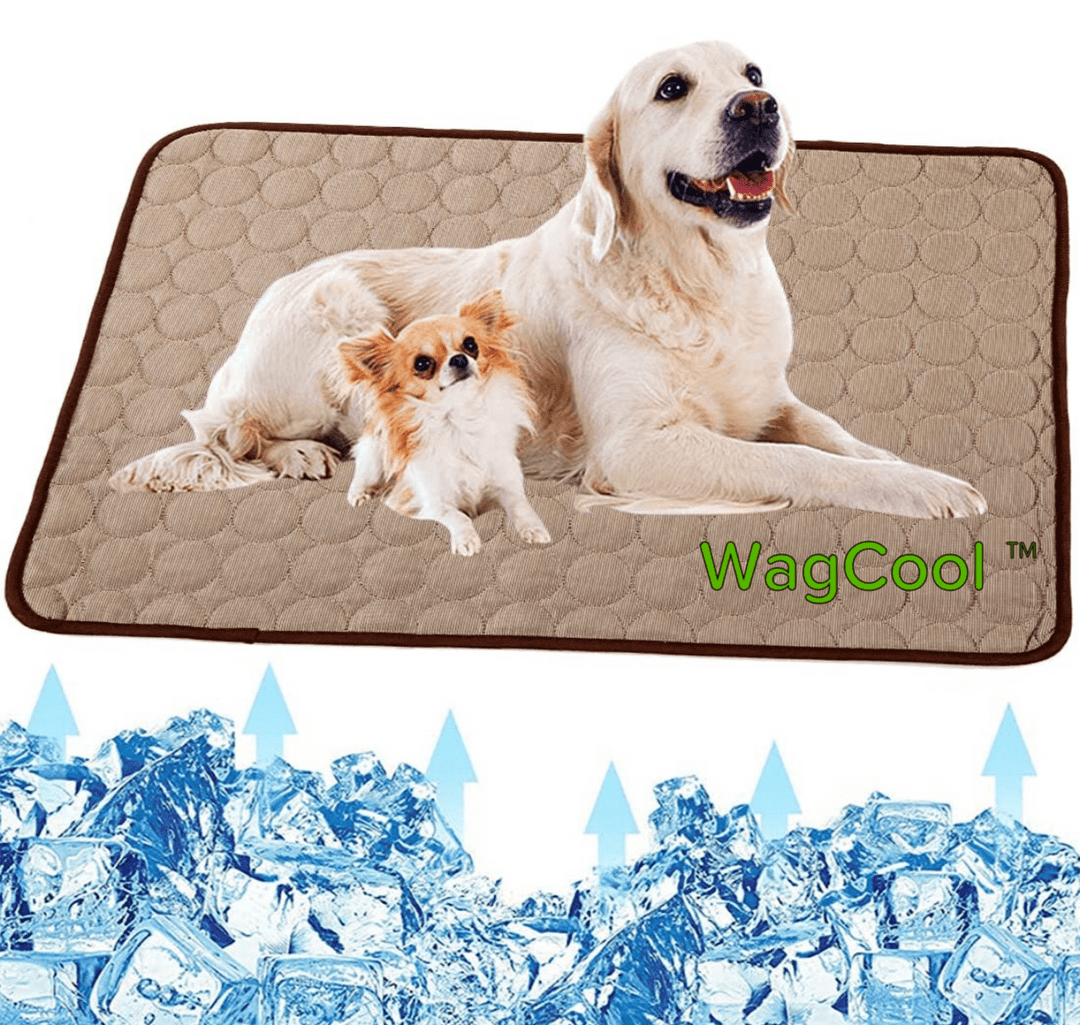 Praktische Kühlmatte für Hunde; ideal für Erfrischung und Komfort zu Hause und auf Reisen.