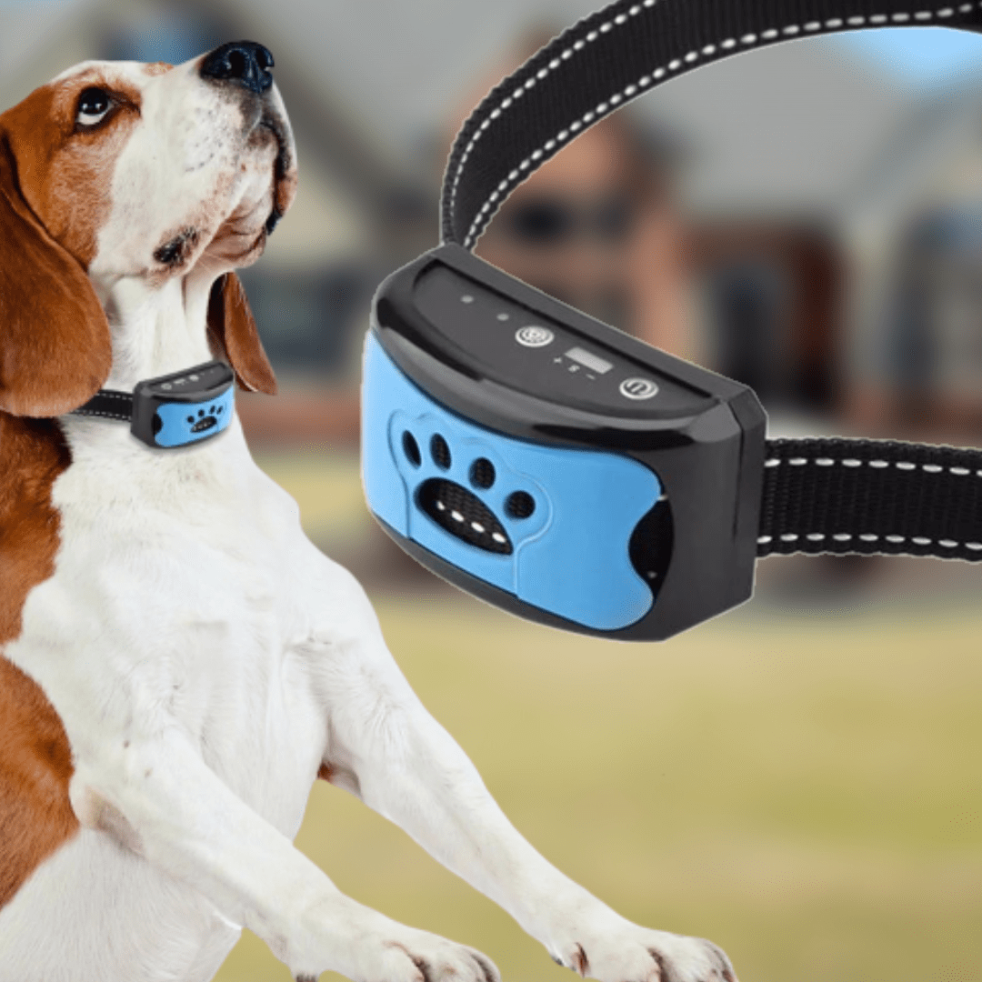 Anti-Bell Halsband mit Ultraschall- & Vibrationsfunktion zur Erziehung und Bellkontrolle beim Hund.